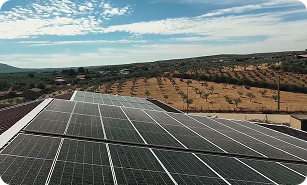 Instalación solar de 100 kWp en Hernán Pérez con módulos de contacto trasero LONGi - foto 2